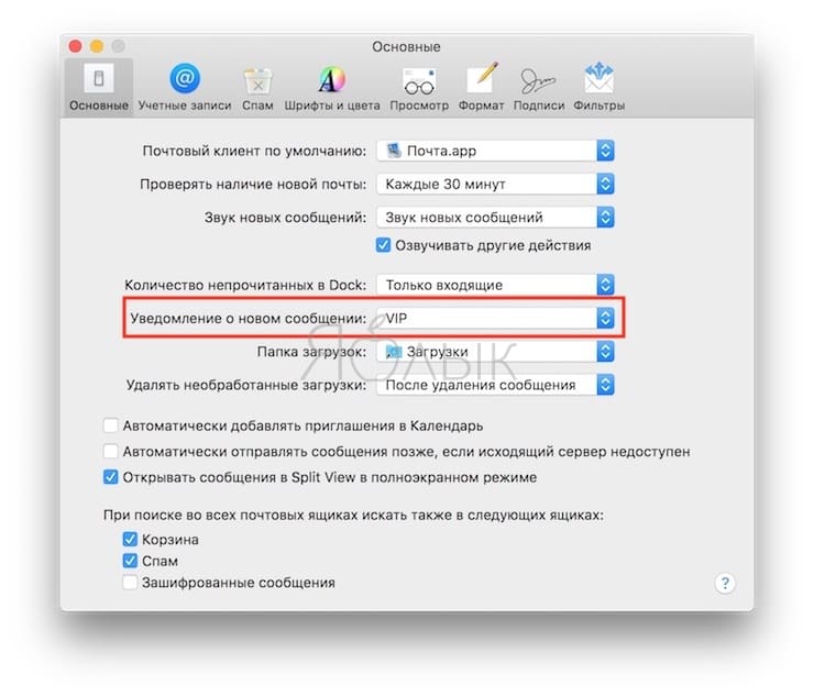Как настроить уведомления в приложении Почта в macOS только на входящие письма от VIP-контактов