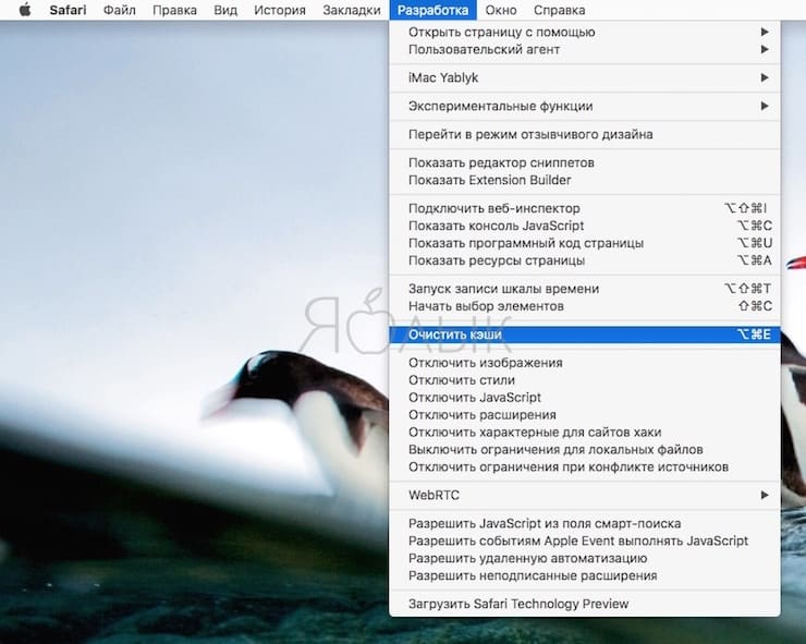Как очистить кэш Safari на Mac