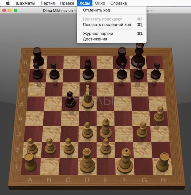 Шахматы на Mac