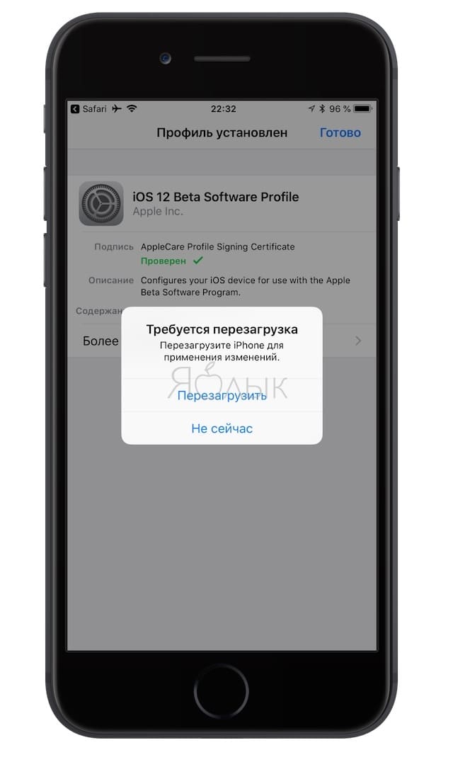 Как установить iOS 12 бета для разработчиков на айфон или айпад (регистрация не требуется)
