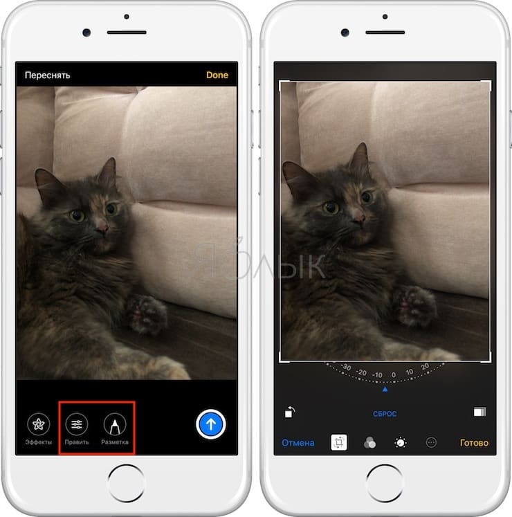 Как добавить текст, эффекты или стикеры на фото и видео в приложении Сообщения на iPhone и iPad