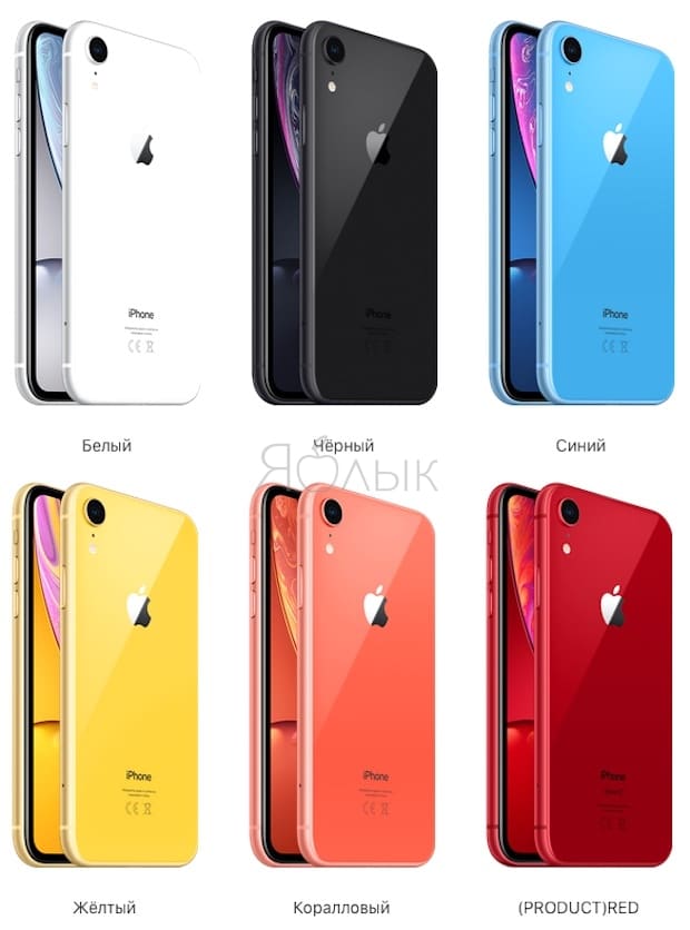 IPhone XR colors