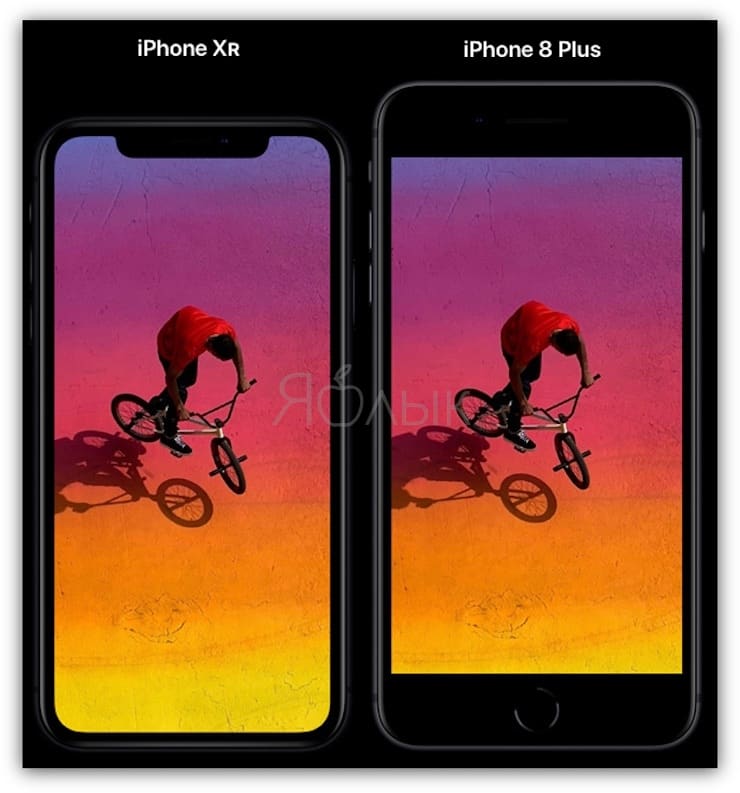 Сравнение размеров iPhone XR и iPhone 8 Plus