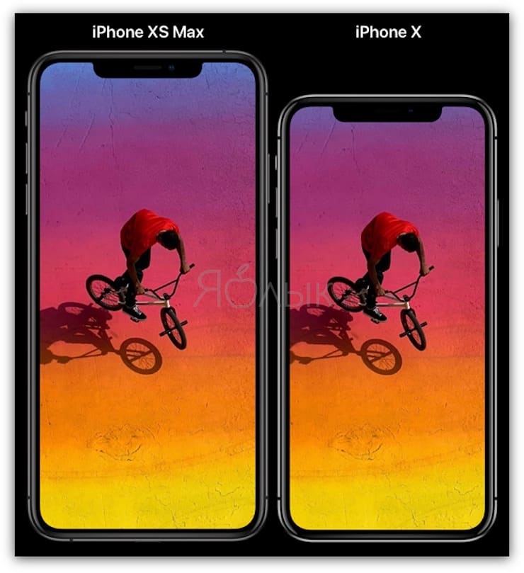 Размеры Сравнение размеров iPhone XR и iPhone 8 Plus