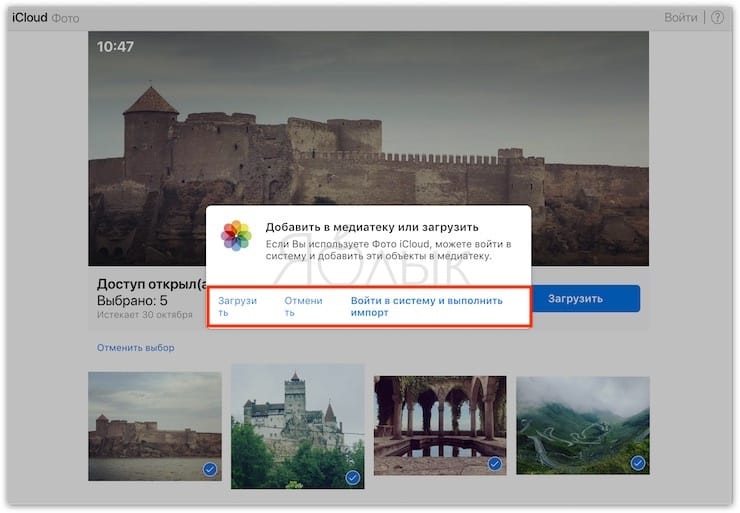 How to add (save) photos and videos from shared links to your library