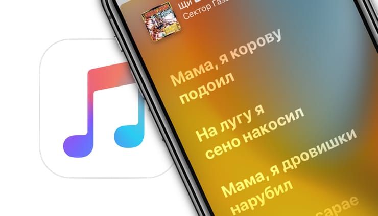 how view text song in apple music app ios