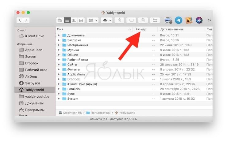 Folder size in macOS