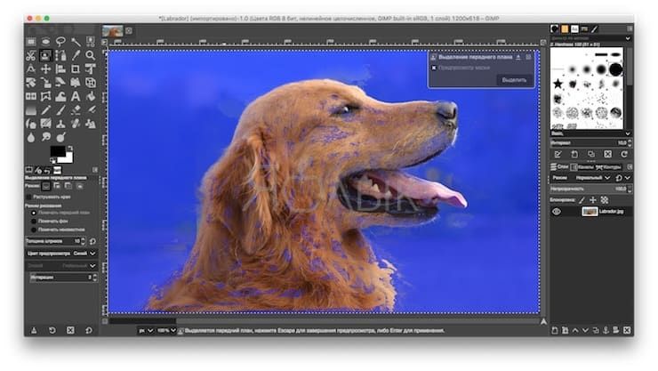 How to make the background transparent when using the Foreground selection tool