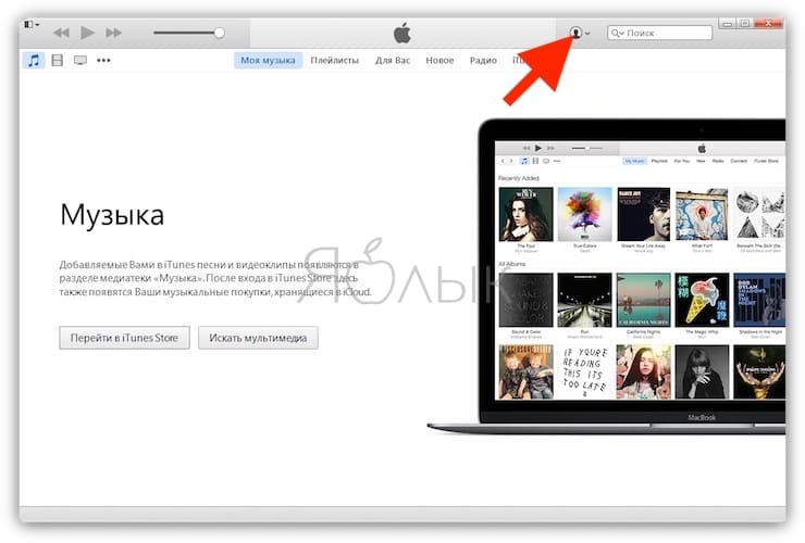 Как слушать apple music на компьютере windows