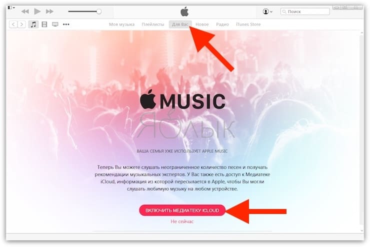 Что дает подписка apple music