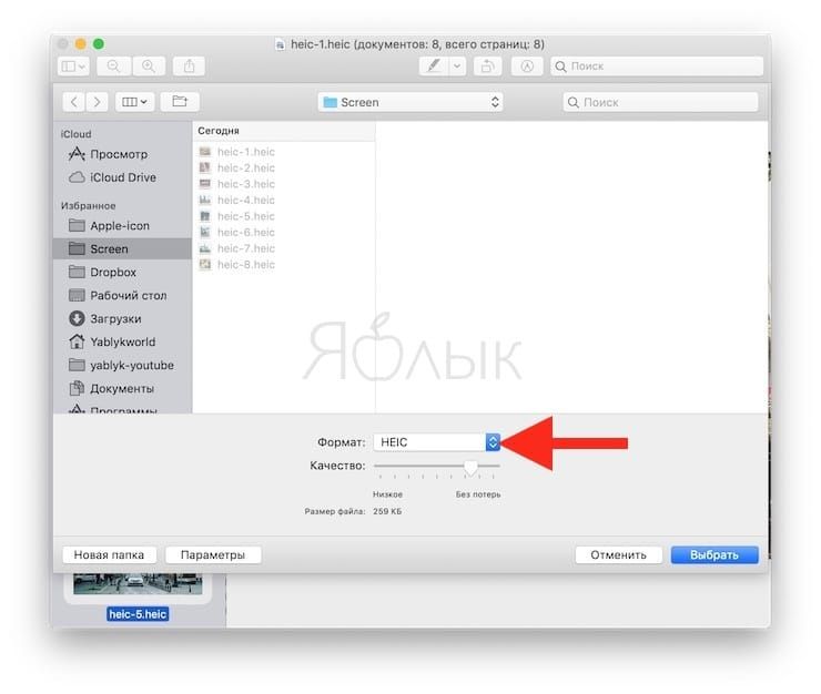 Файл heic. HEIC Формат файла. Файл HEIC HEIC как открыть. Как открыть Формат HEIC на компьютере. Как изменить Формат HEIC на jpeg на айфоне.