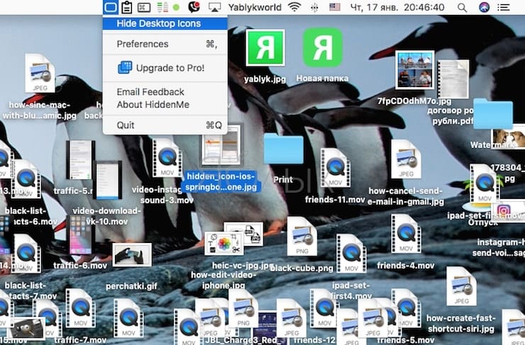 HiddenMe - как быстро скрыть все иконки с рабочего стола Mac