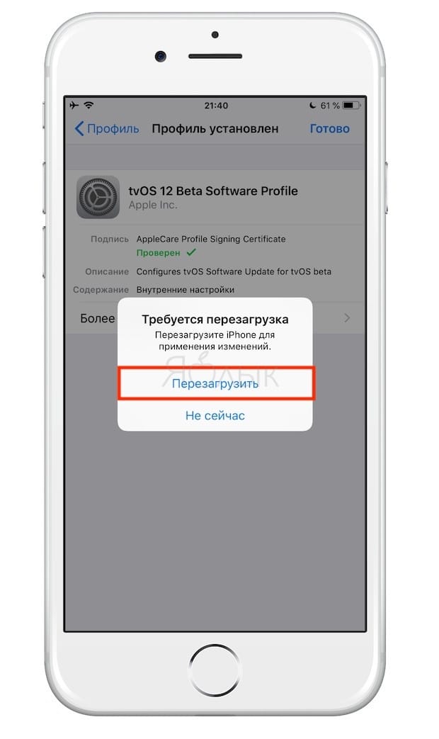 Как отключить обновления iOS на iPhone и iPad