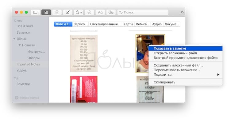 Используйте браузер вложений в Заметках на Mac и iOS