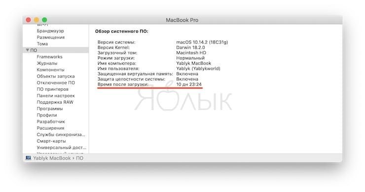 Когда последний раз включалась. Как узнать когда включали новый макбук.