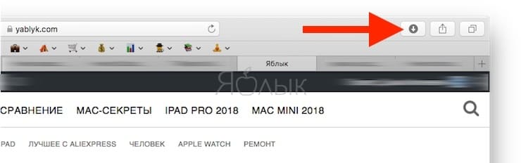 Как просмотреть все загрузки (скачанные файлы) в Safari на Mac
