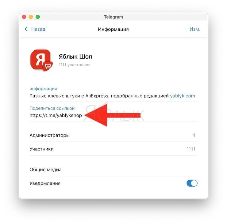 Как узнать ссылку на канал или групповой чат в Telegram