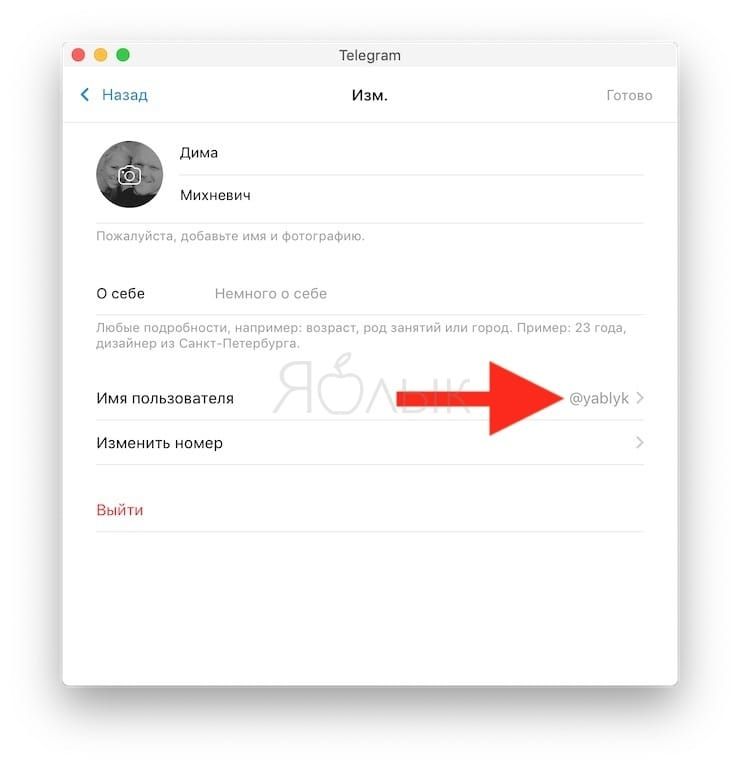 Как узнать ссылку на свой профиль в Telegram