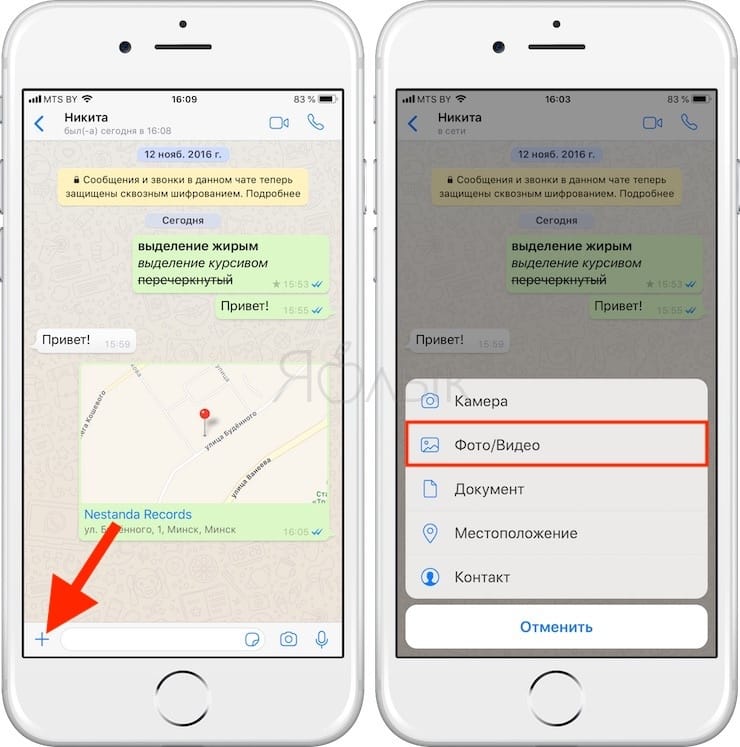 Ватсап документ. Геолокация в айфоне на ватсап. Местоположение в ватсапе с айфона. Как отправить сразу несколько фото в ватсап. Как в ватсапе передать несколько фото.