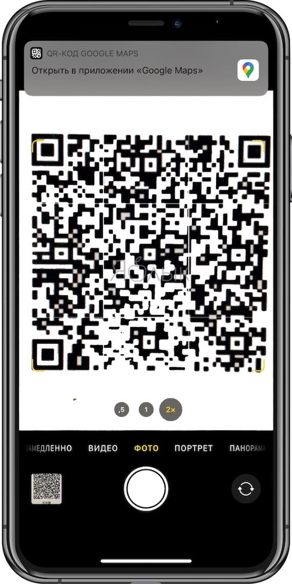 What QR codes can the iPhone camera read?
