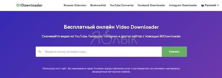BitDownloader