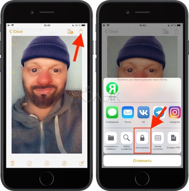 Как спрятать фото на iPhone или iPad в приложении Заметки и защитить паролем
