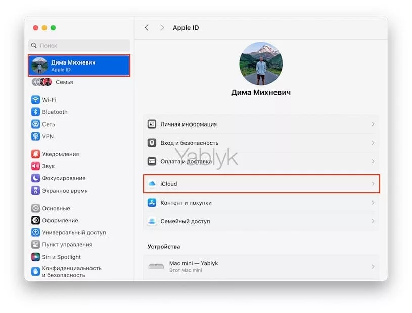 Как работать с «Вкладками iCloud» в Safari на Mac?