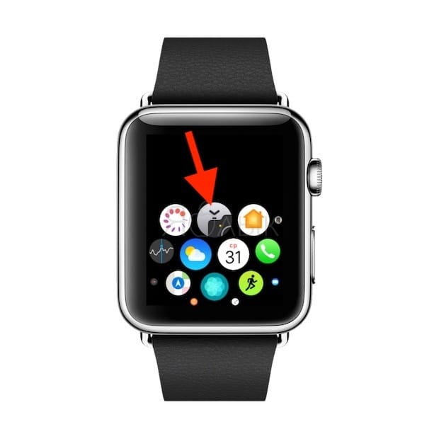 How to use the Camera (photos and videos) on Apple Watch