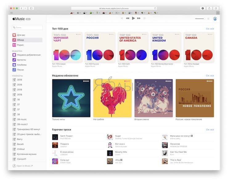 apple music web version n browser