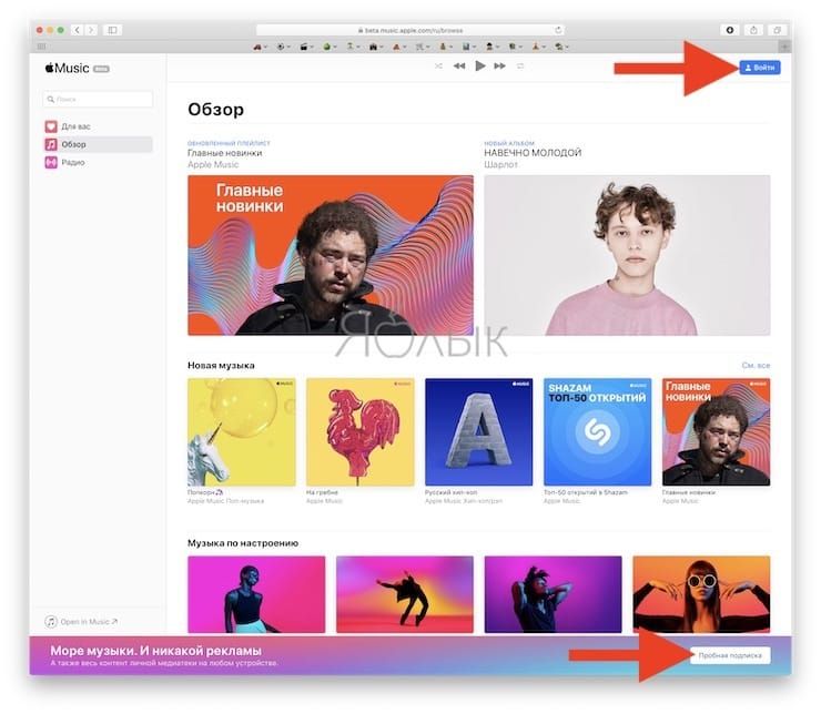 apple music web version in browser