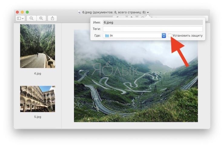 Preview on Mac (macOS): Hidden Features of the Photo Editor