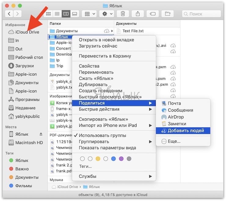Общий доступ к файлам и папкам iCloud в macOS