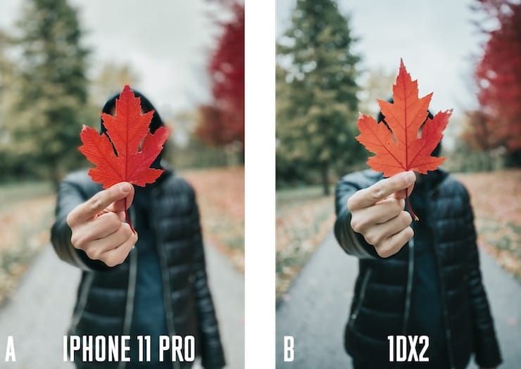 Сравнение фото с камеры iPhone 11 Pro и зеркальной фотокамеры Canon 1DX Mark II
