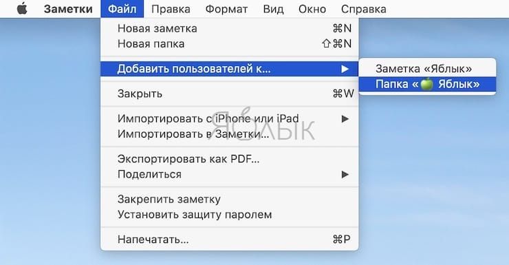 Как поделиться папкой или заметкой только для просмотра или с возможностью редактирования на Mac