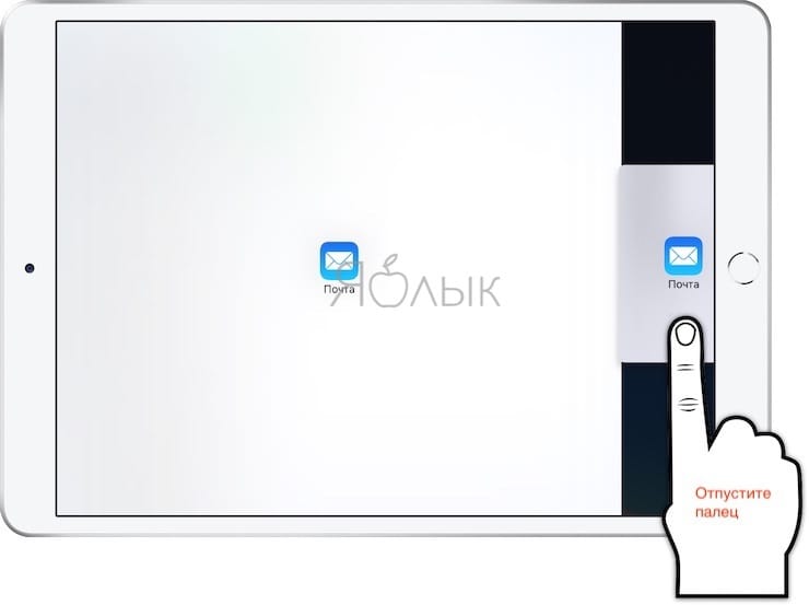 Как быстро открыть два окна одного приложения на iPad в iPadOS
