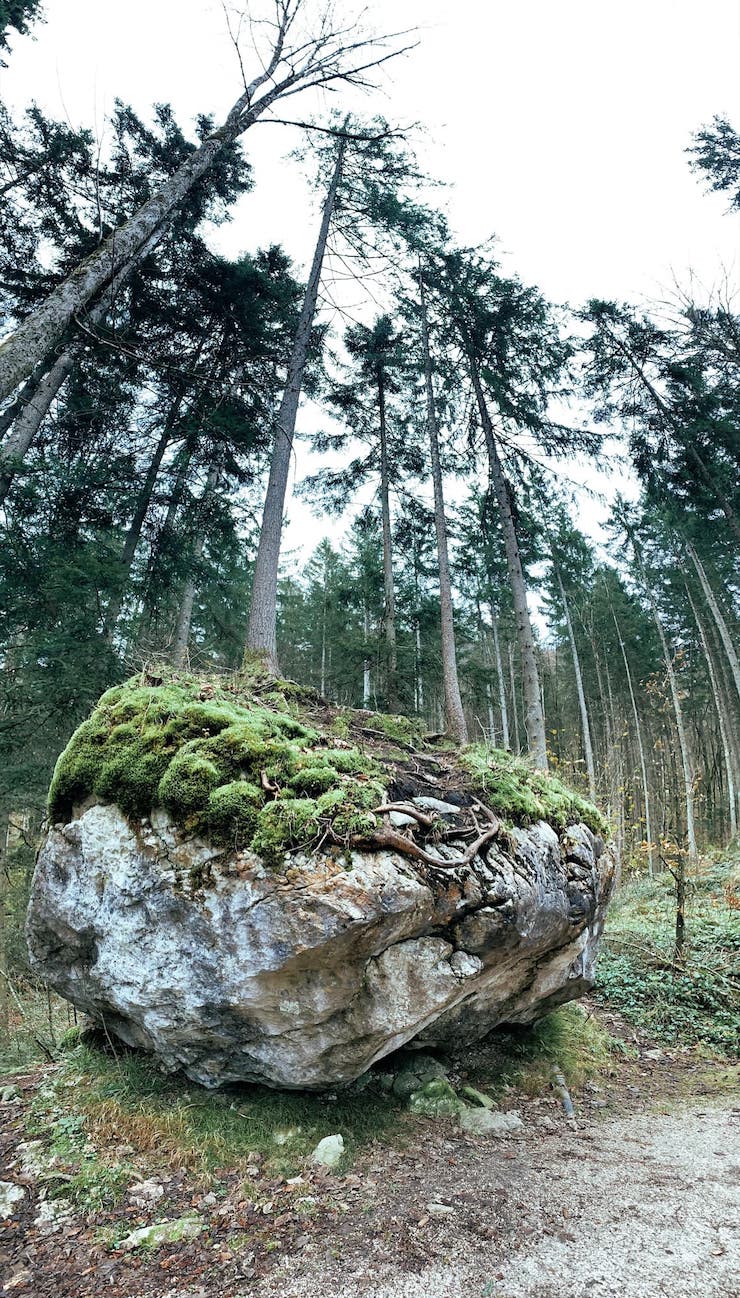 Как Правильно Делать Фото На Айфон 12