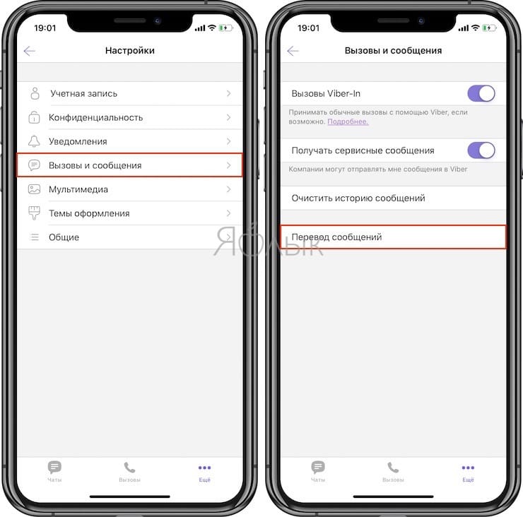 How to translate Viber correspondence on iPhone into any language without leaving the application