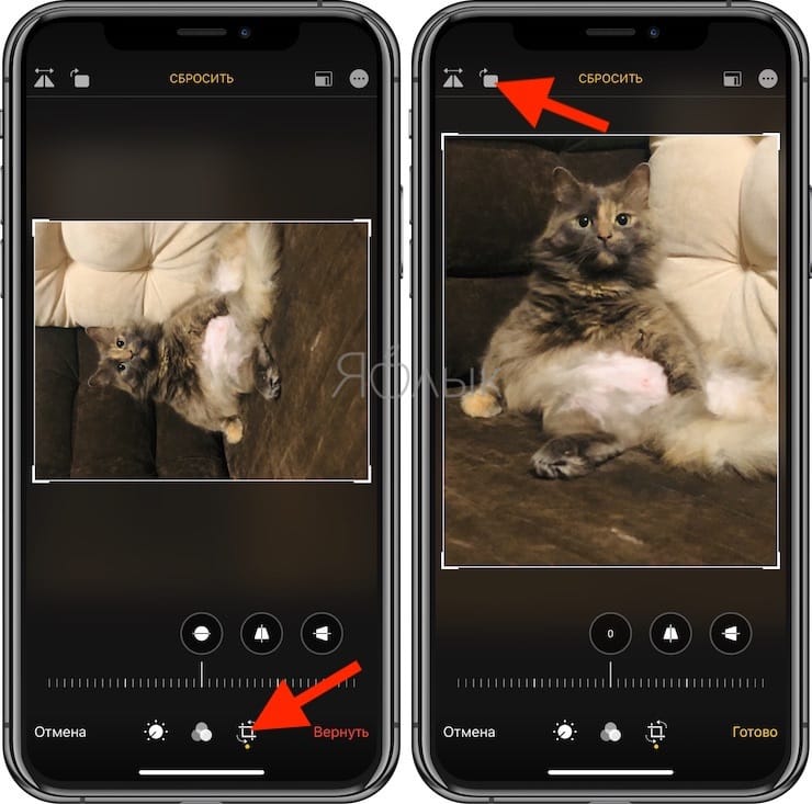 How to rotate a photo on an iPhone or iPad