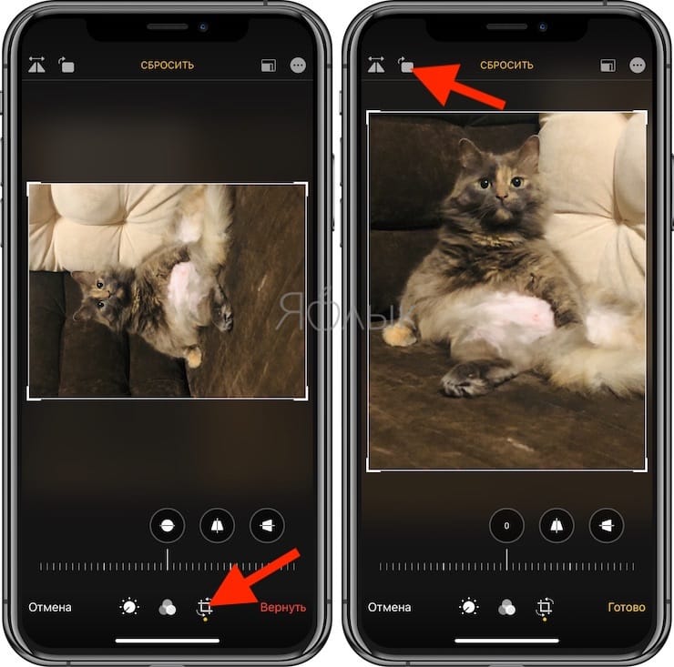 Как перевернуть фото на телефоне. Как развернуть фото в телефоне. Как перевернуть фото на айфоне. Как развернуть фотографию на айфоне. Как повернуть фотографию в айфоне.