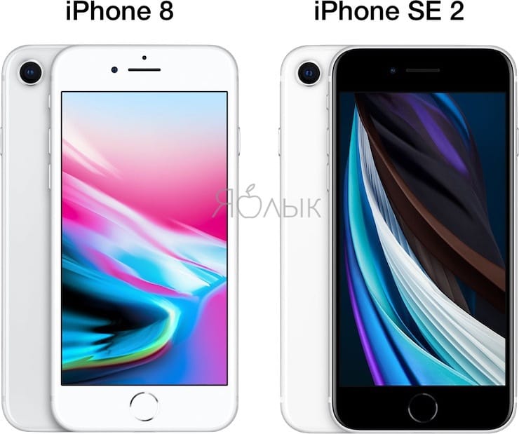 Чем iPhone SE 2 внешне отличается от iPhone 8 / 8 Plus