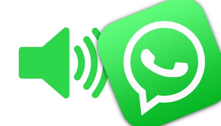 Как узнать по звуку, от кого (из какого чата) пришло сообщение WhatsApp