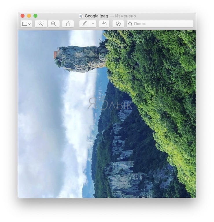 Как повернуть картинку (фото) на Mac в приложении «Просмотр»