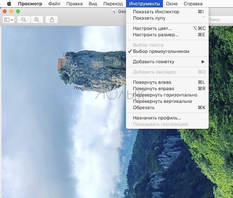 Как повернуть картинку (фото) на Mac в приложении «Просмотр»