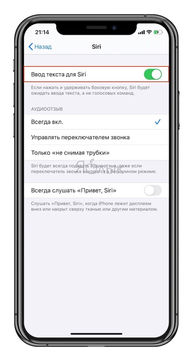Как общаться с Siri на iPhone и iPad текстом (без голосовых команд)