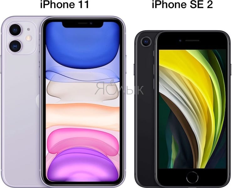 Размеры iPhone SE 2 и iPhone 11