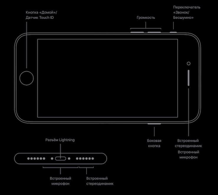 Кнопки и разъемы iPhone SE 2020 года