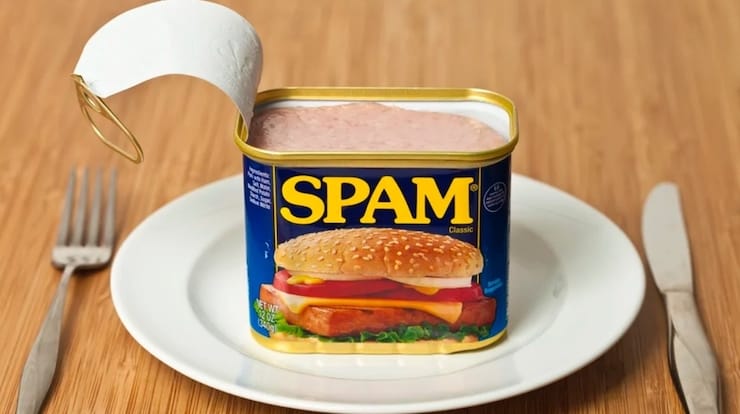 spam word history