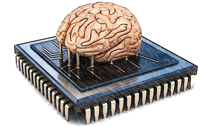 Quelle est la capacité du cerveau humain ?