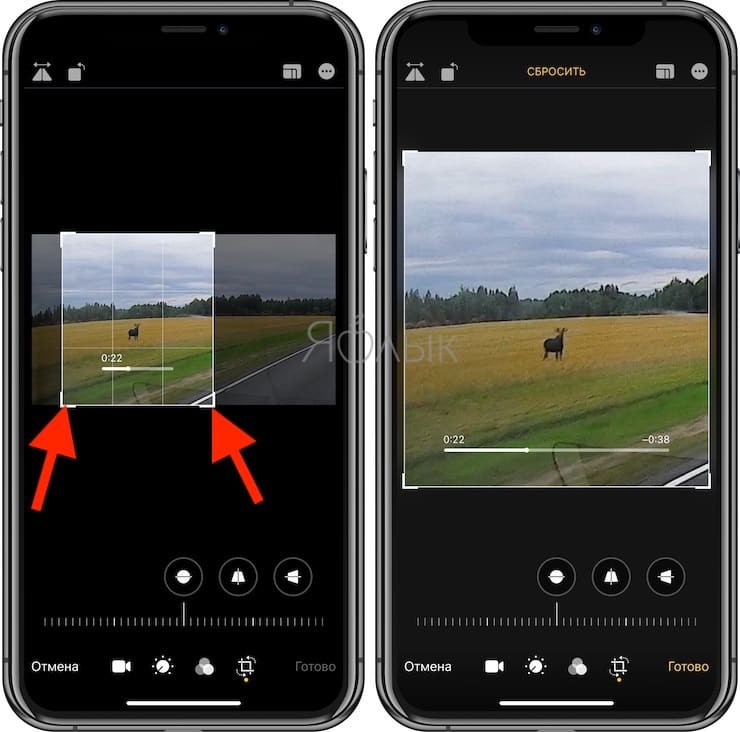 How to crop a video (crop) in the Photos app