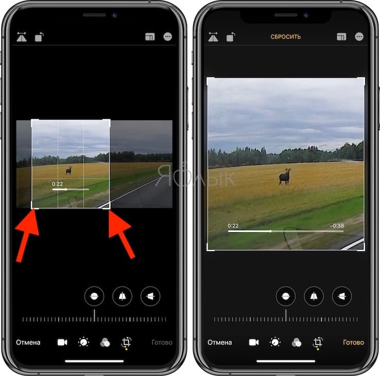 Как обрезать или кадрировать видео на iPhone и iPad без сторонних приложений